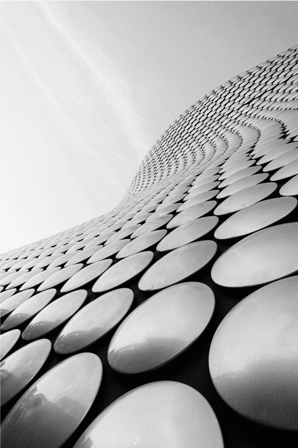 Screenshot 2024 11 05 at 1.56.14 AM